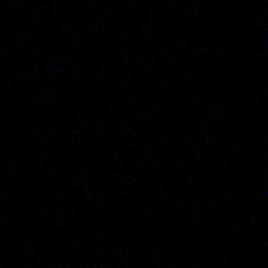 Meet your Posher, Dario